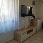 Apartment Rahela *
