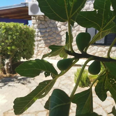 Apartment Rahela Selce
