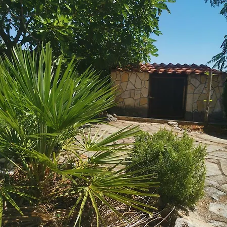 דירה Rahela סלצה