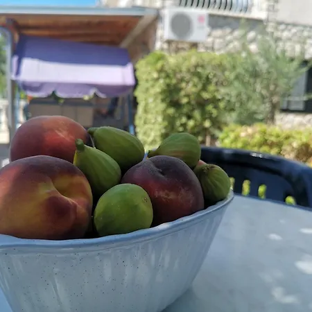 Rahela * סלצה
